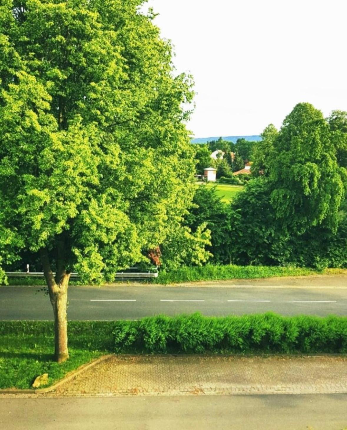 Ferienwohnungen Tetzlaff, Else Bad Münder am Deister Buitenkant foto